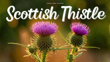 Scottish Thistle Unveiled: A Symbol of Resilience and Pride