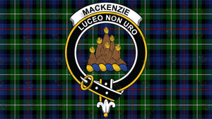 Boutons De Manchette Clan écossais Mackenzie De Kintail - Chromé, Avec Boîte Cadeau, Idée Cadeau Homme élégant