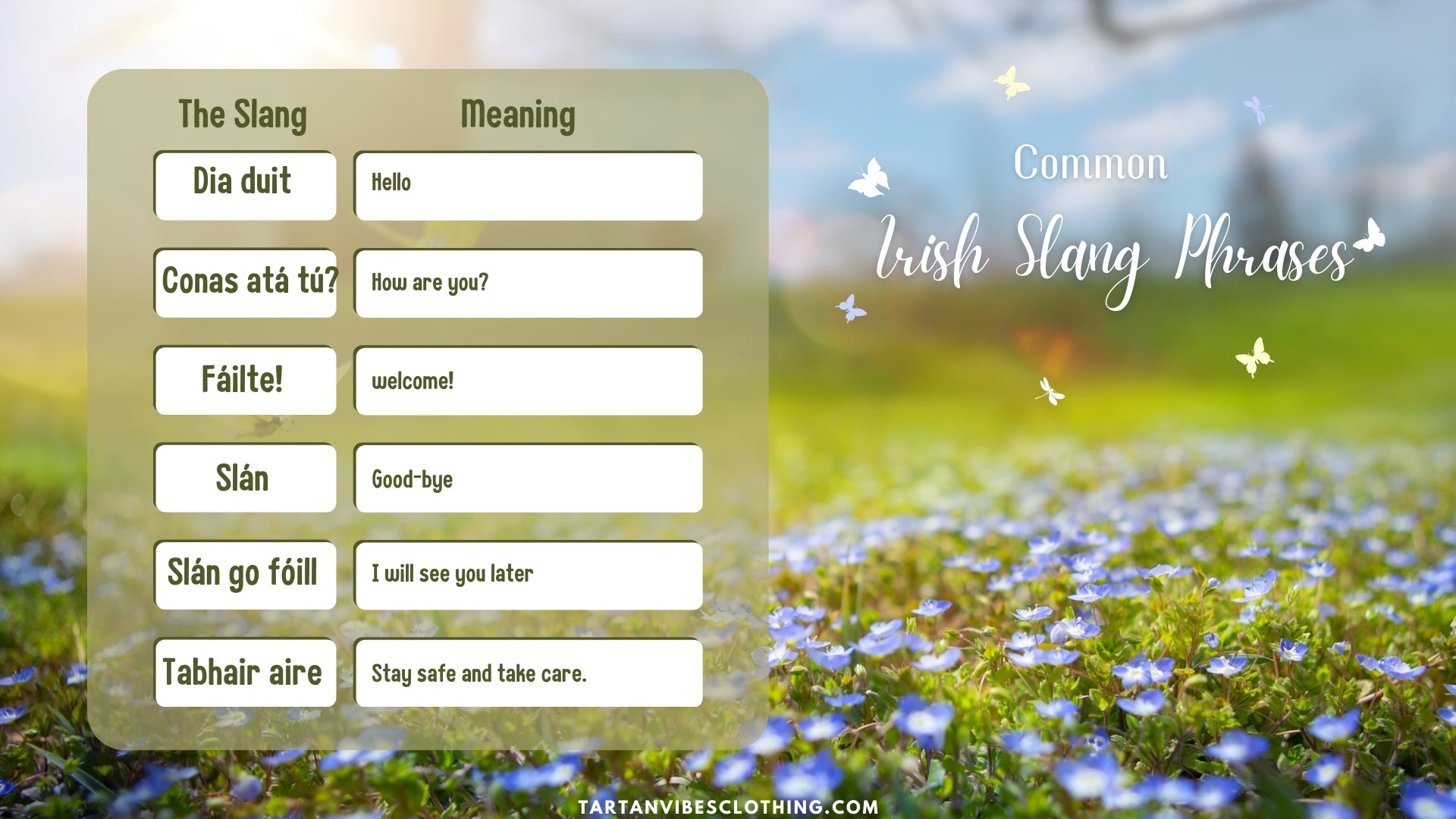 Common Irish Slang Phrases