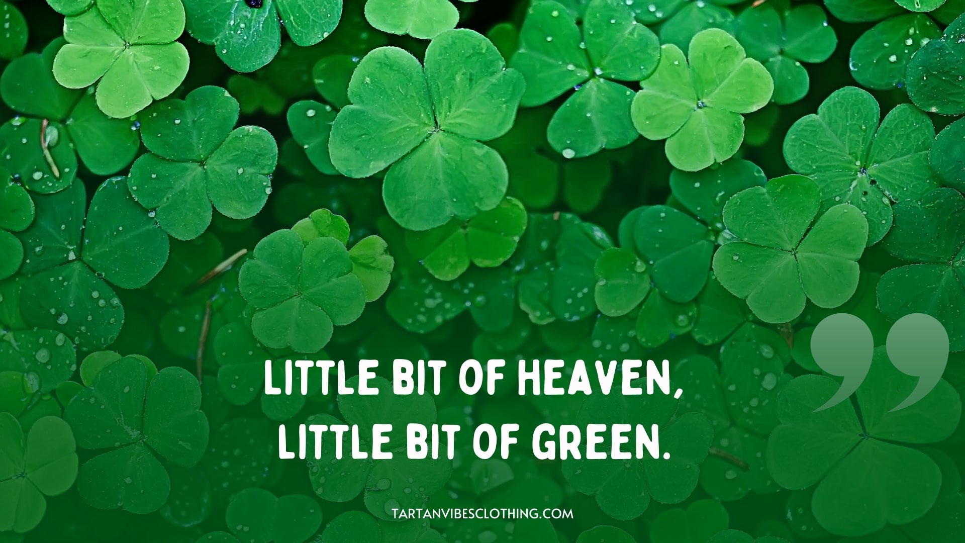 Cute St. Patrick's Day Instagram Captions