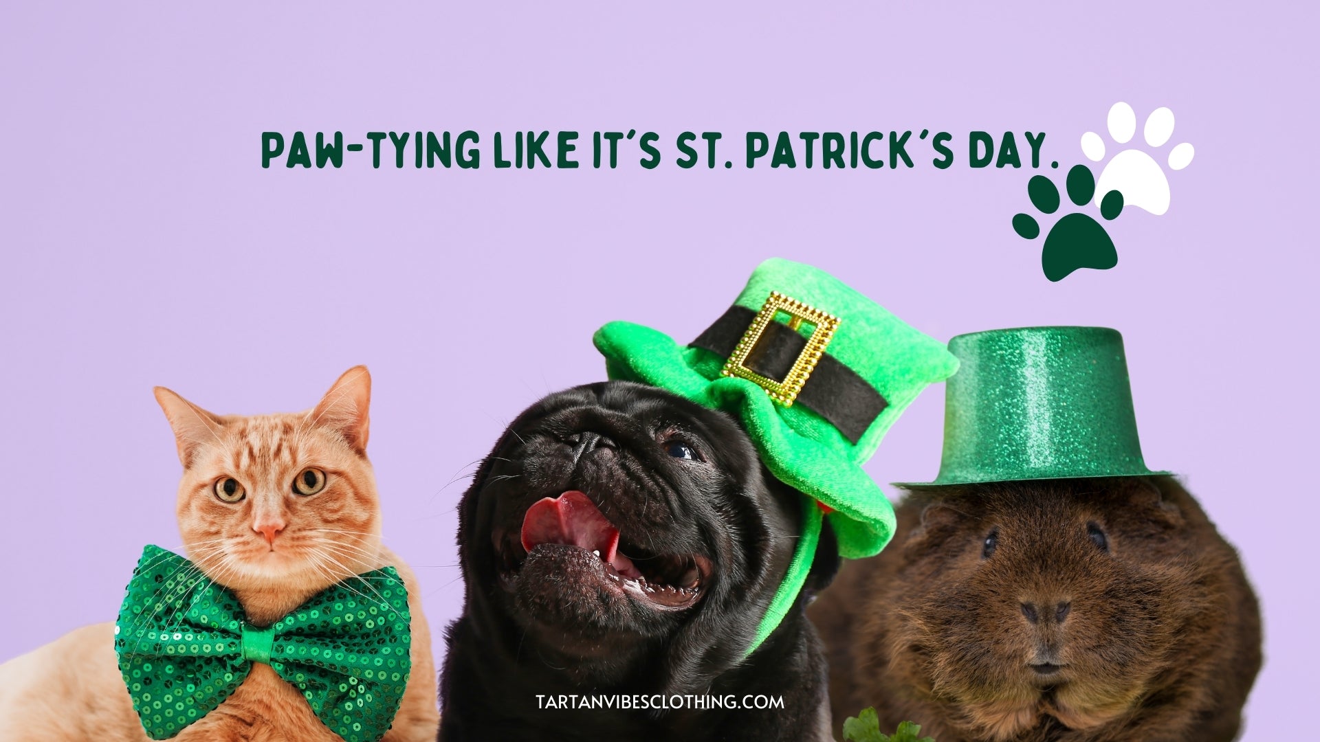 Funny Saint Patrick's Day Captions for Pets