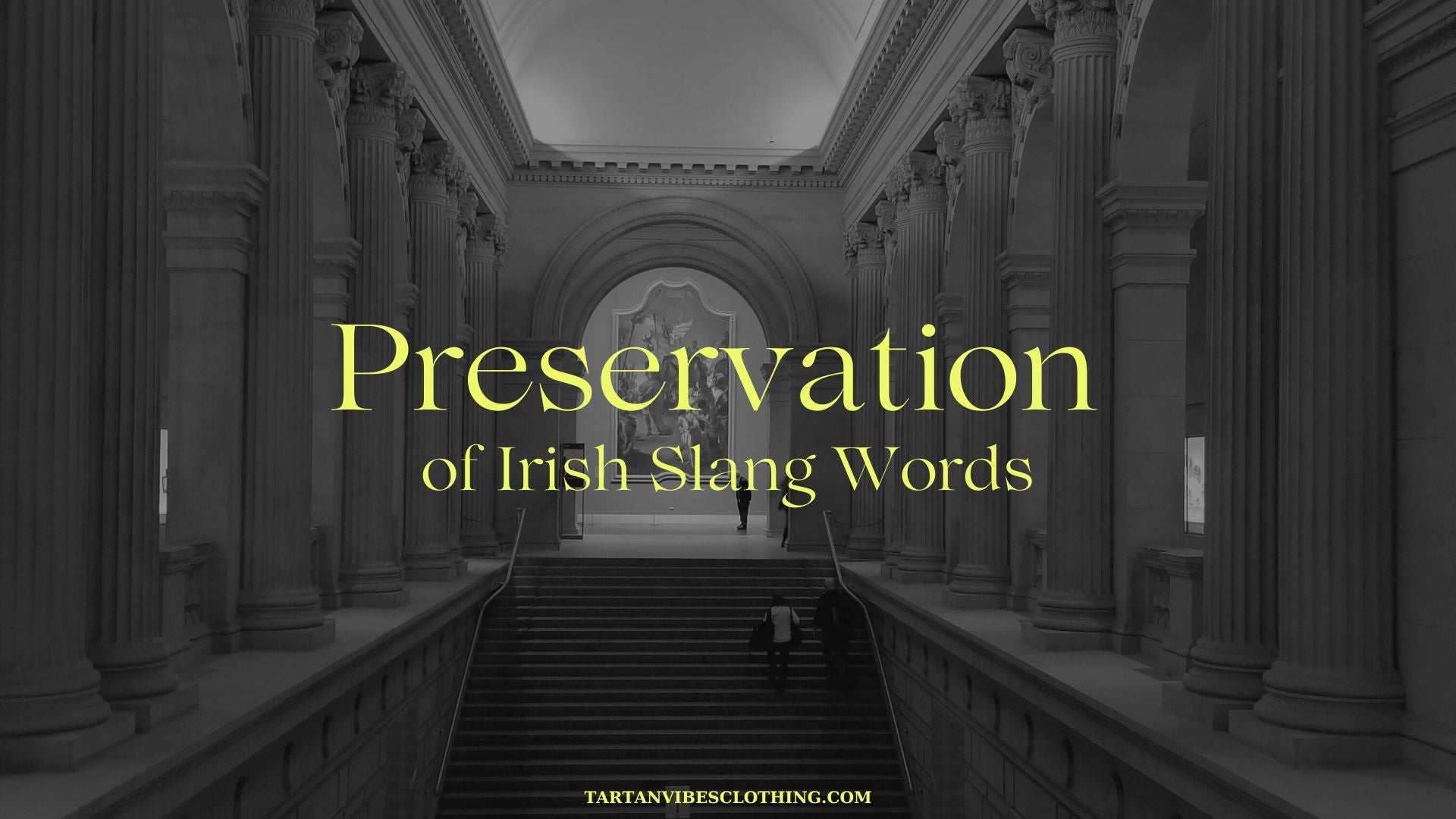Preservation of Irish Slang Words