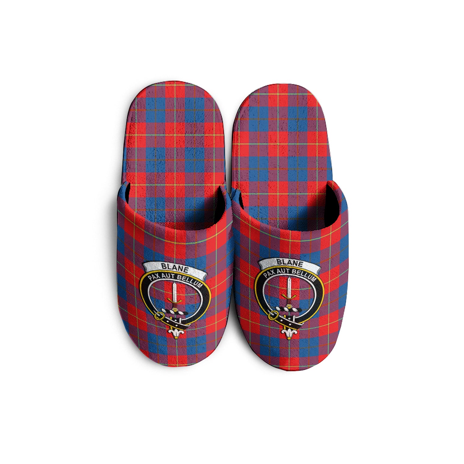 Blane Tartan Home Slippers with Family Crest KIDS - Tartan Vibes Clothing