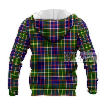 Dalrymple Tartan Knitted Hoodie with Family Crest DNA In Me Style - Tartan Vibes Clothing