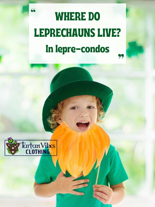Funny St. Patrick