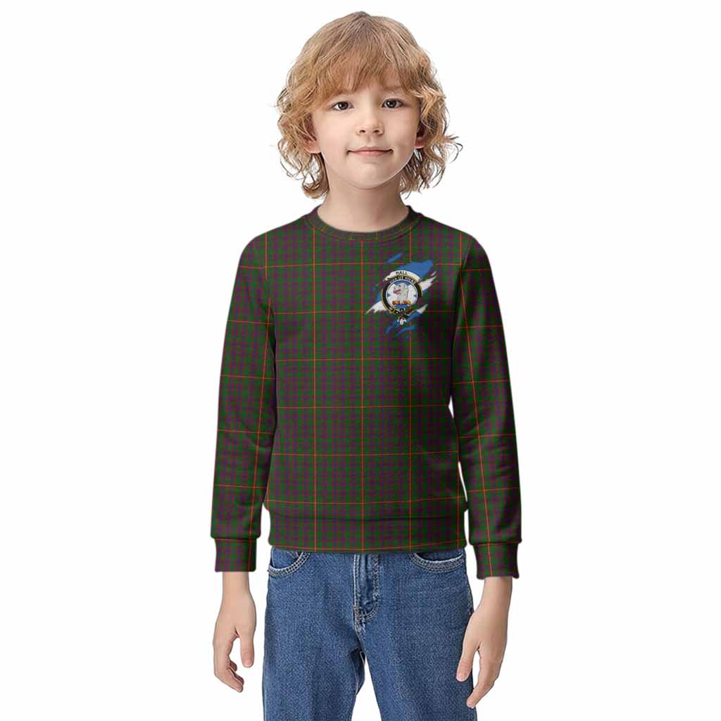Hall Clan Crest In Me Tartan Kid Knitted Sweatshirt Scotland Flag Style