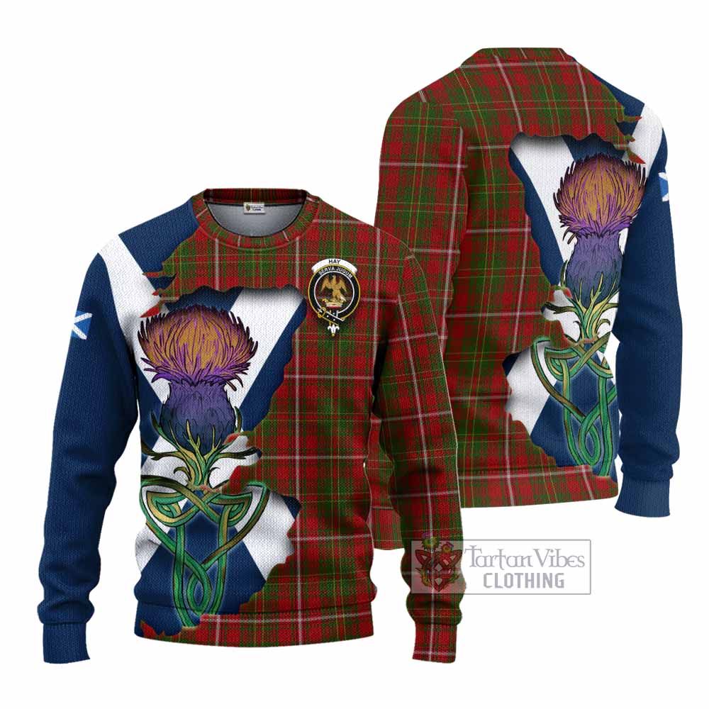 Tartan Vibes Clothing Hay Tartan Family Crest Knitted Sweater Scottish Thistle Celtic Inspired