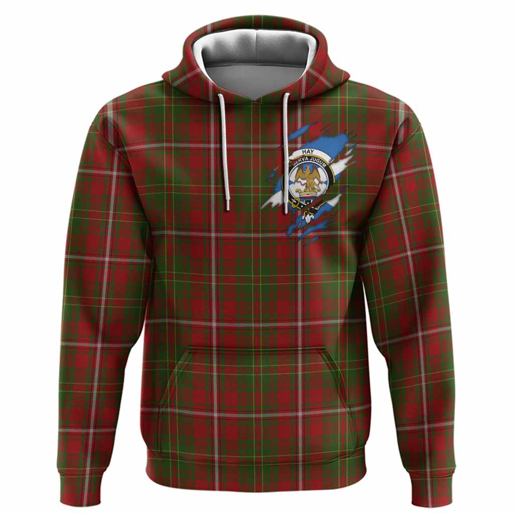 Hay Clan Crest In Me Tartan Hoodie Scotland Flag Style