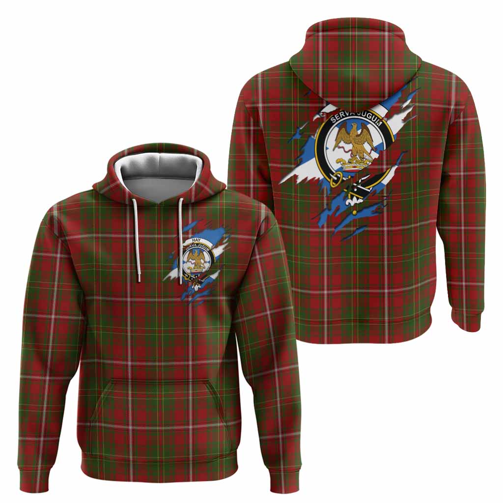 Hay Clan Crest In Me Tartan Hoodie Scotland Flag Style