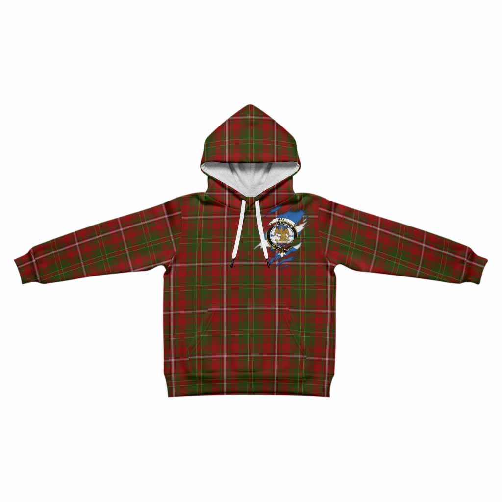 Hay Clan Crest In Me Tartan Kid Hoodie Scotland Flag Style
