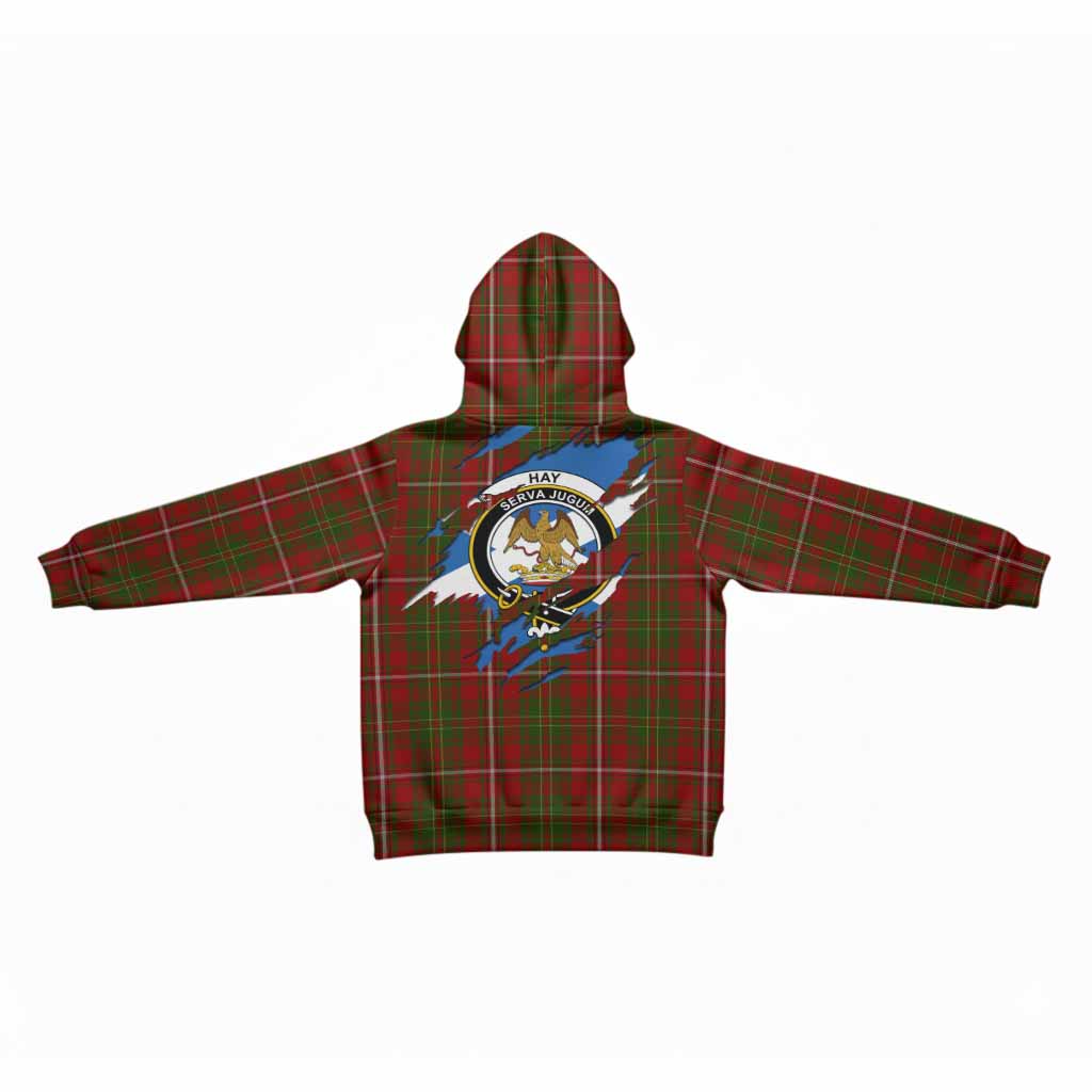Hay Clan Crest In Me Tartan Kid Hoodie Scotland Flag Style