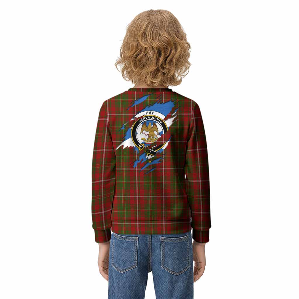 Hay Clan Crest In Me Tartan Kid Knitted Sweatshirt Scotland Flag Style