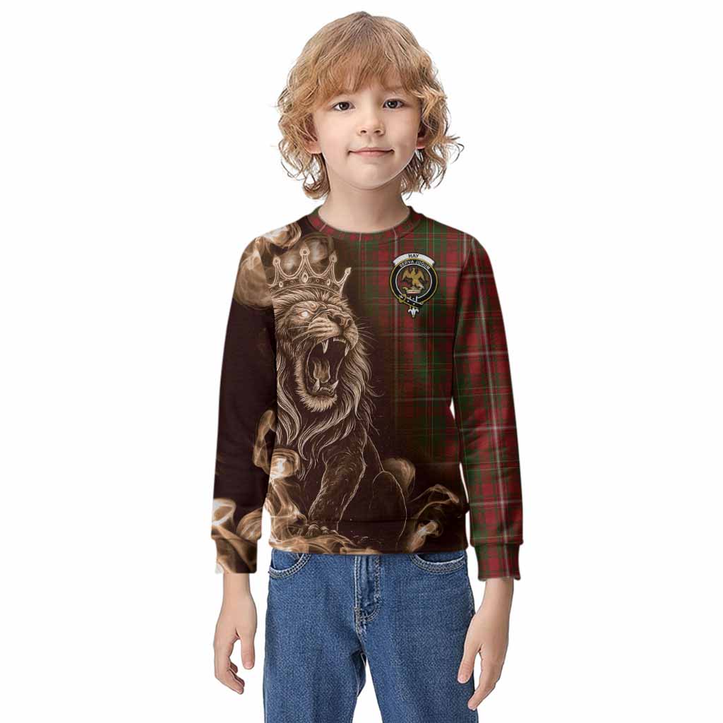 Hay Tartan Kid Knitted Sweatshirt Roaring Lion Heritage
