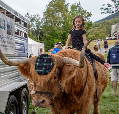 Visitor meets a Highland cow at the New Hampshire Highland Games