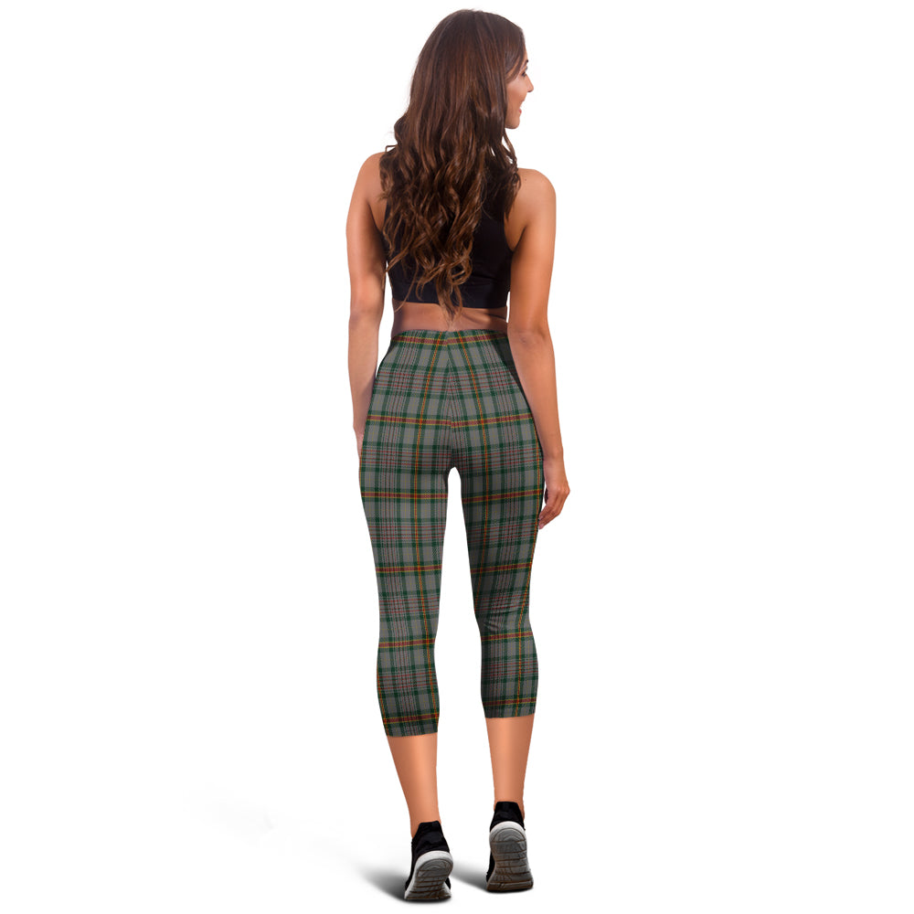 Howell of Wales Tartan Womens Leggings - Tartan Vibes Clothing