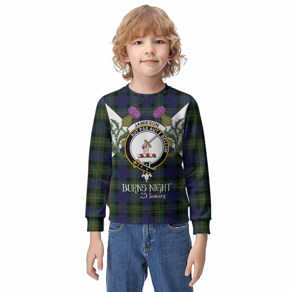 Jamieson Tartan Family Crest Kid Knitted Sweatshirt Scottish Burns Night Thistle Floral