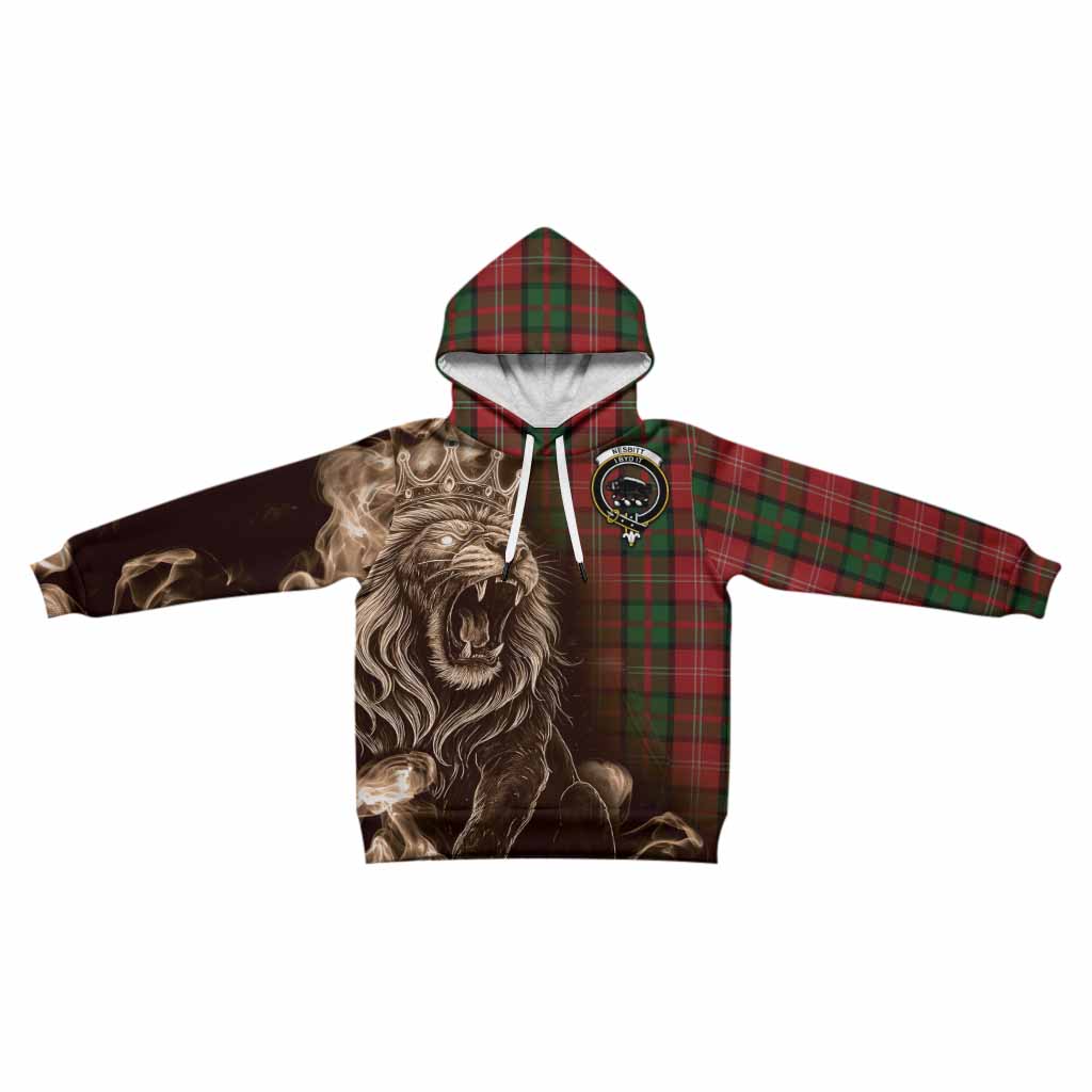 Nesbitt (Nisbet) Tartan Kid Hoodie Roaring Lion Heritage