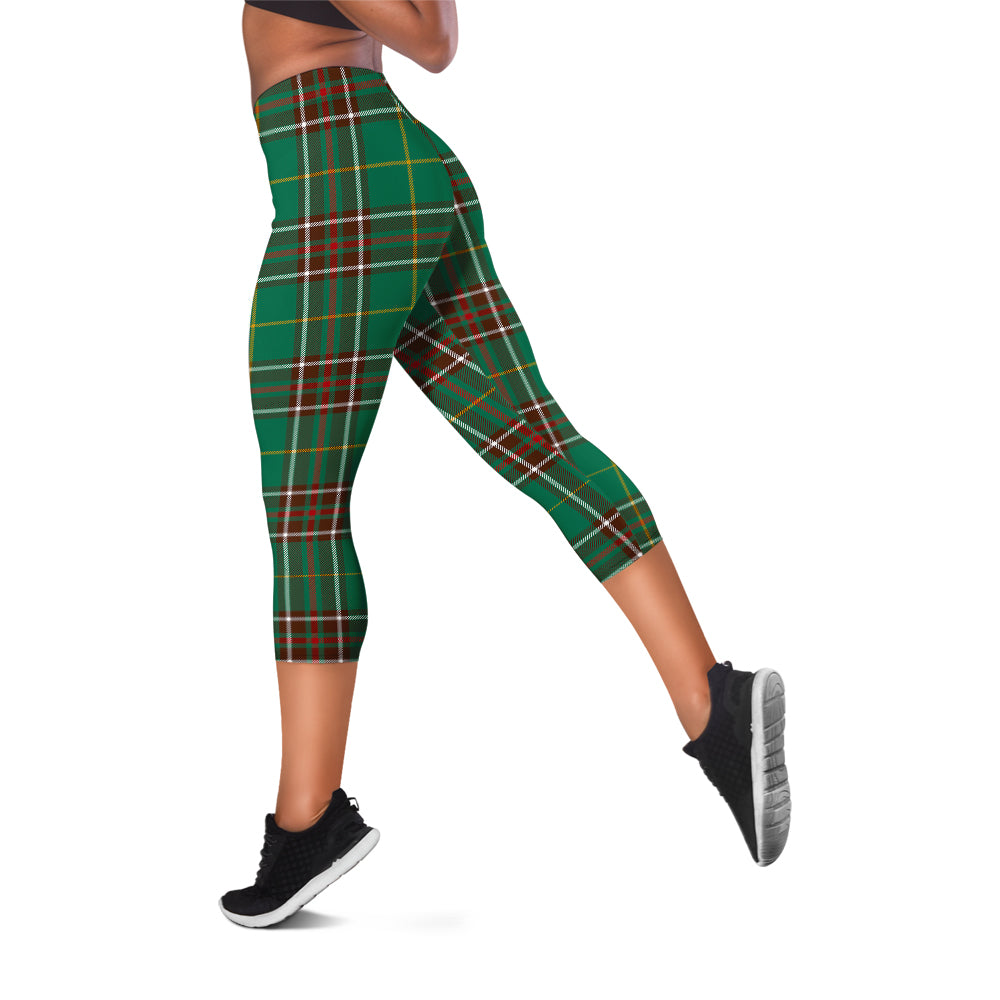 newfoundland-and-labrador-province-canada-tartan-womens-leggings