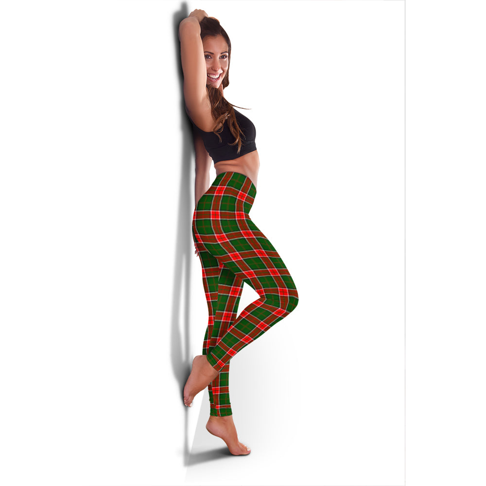 Pollock Tartan Womens Leggings - Tartan Vibes Clothing