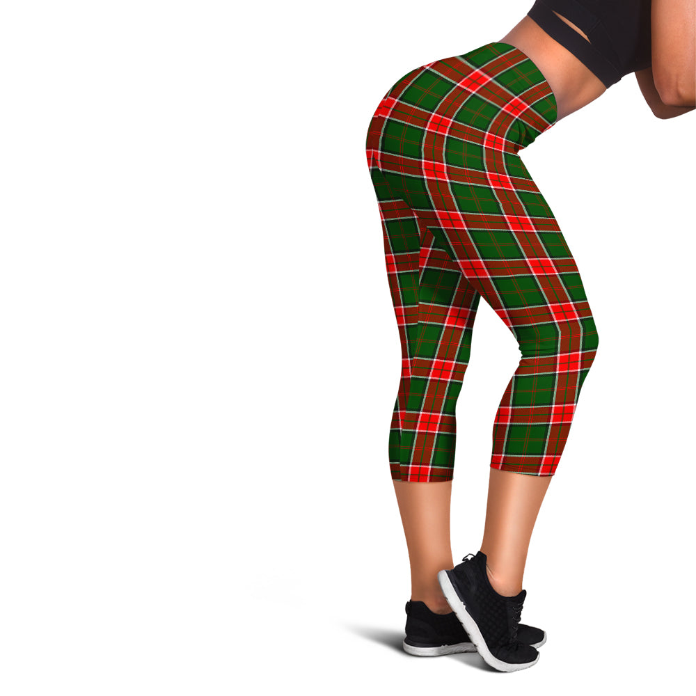 Pollock Tartan Womens Leggings - Tartan Vibes Clothing