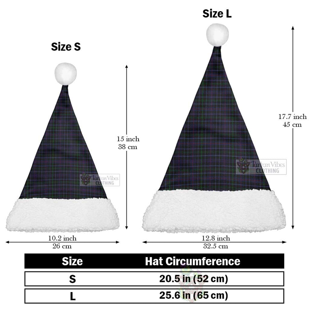 Pride (Wales) Tartan Christmas Santa Hats Christmas Hat L 25.6in (65cm) - Tartan Vibes Clothing