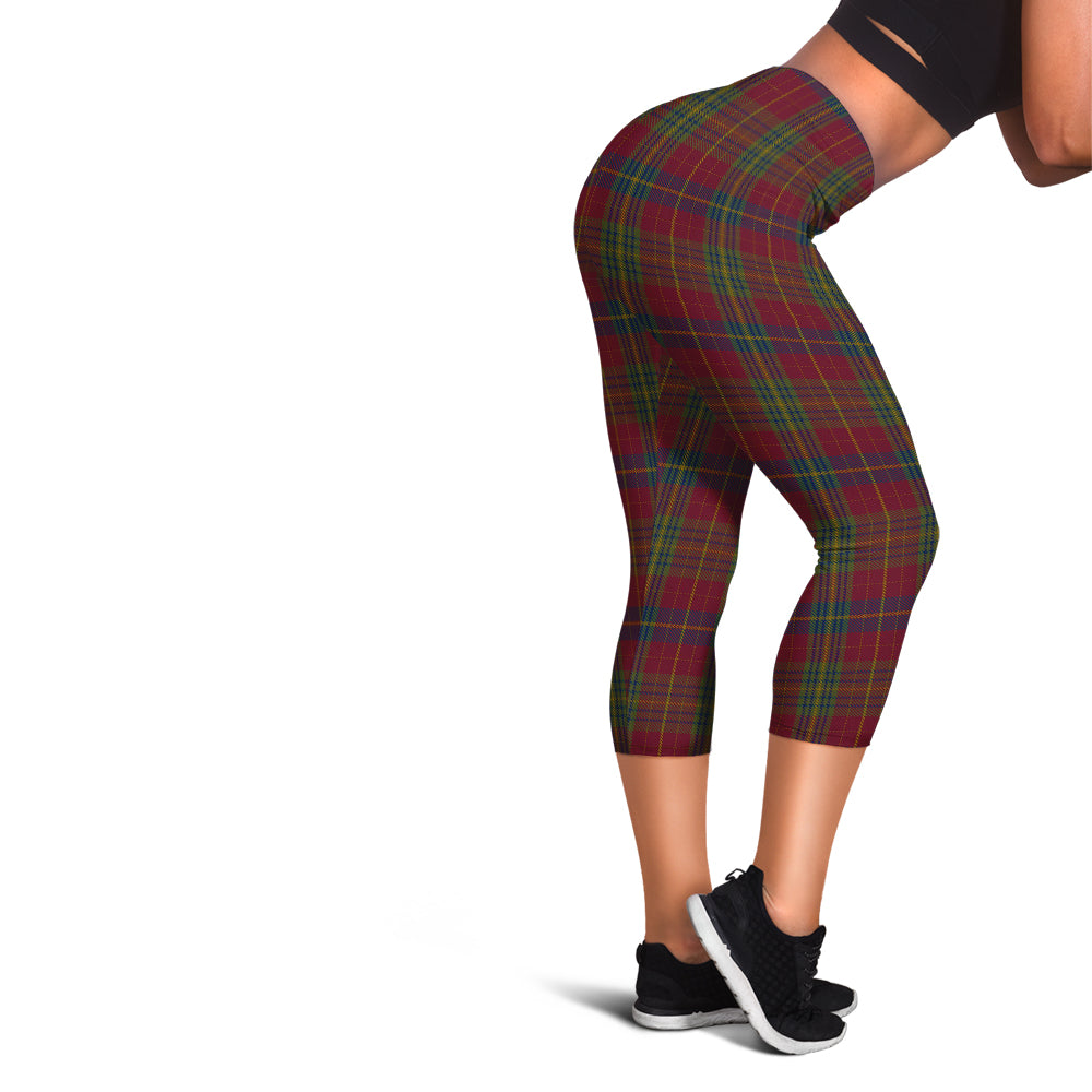 Rice of Wales Tartan Womens Leggings - Tartan Vibes Clothing