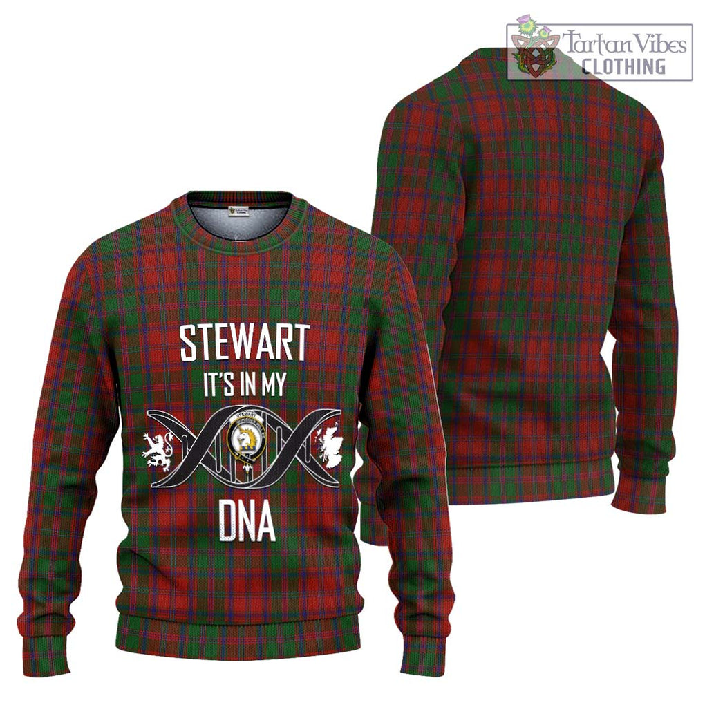 Stewart (Stuart) of Appin Tartan Knitted Sweater with Family Crest DNA In Me Style Unisex - Tartanvibesclothing Shop