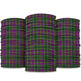 Taylor (Tailyour) Tartan Neck Gaiters, Tartan Bandanas, Tartan Head Band package One Size - Tartan Vibes Clothing