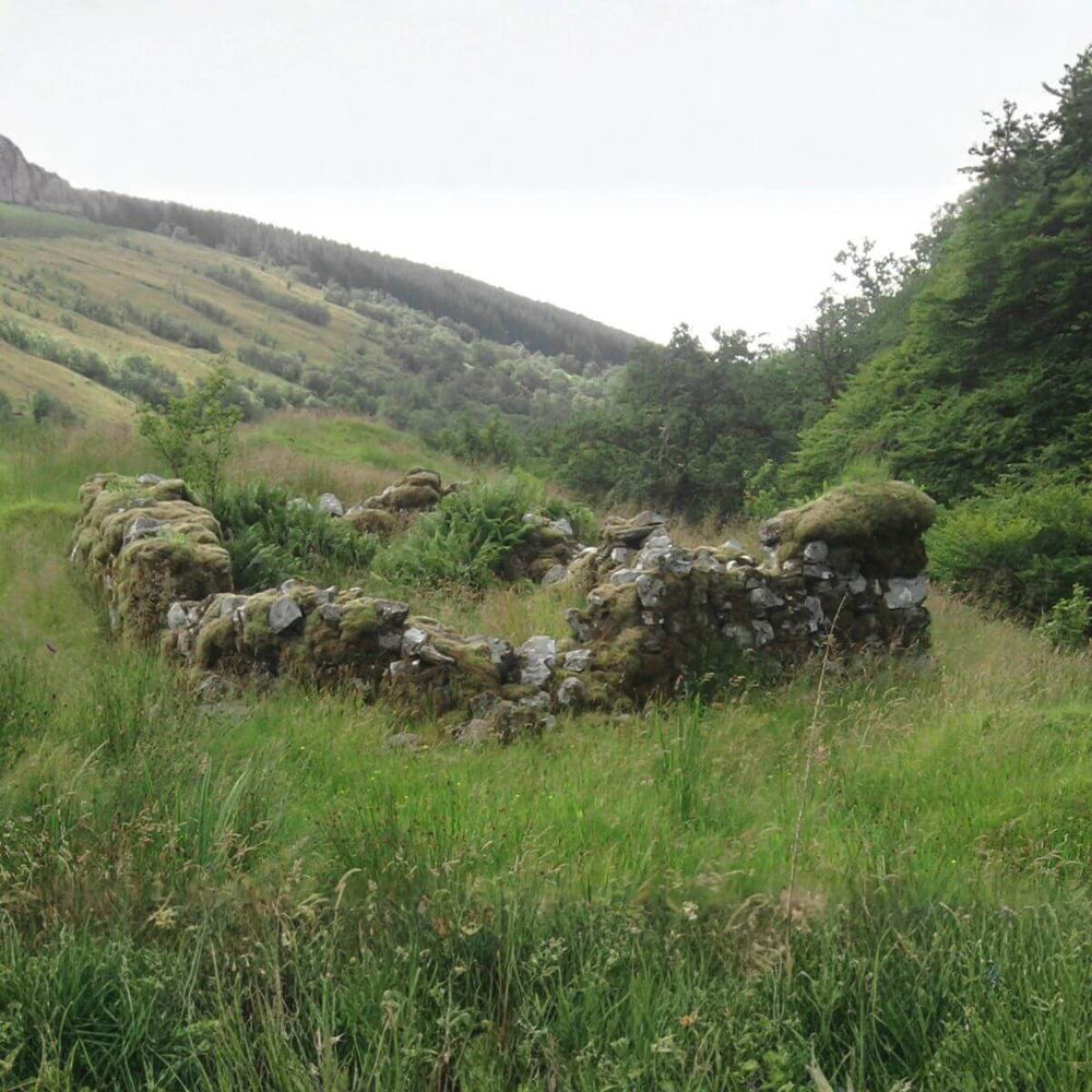 The remains of Rob Roy MacGregor