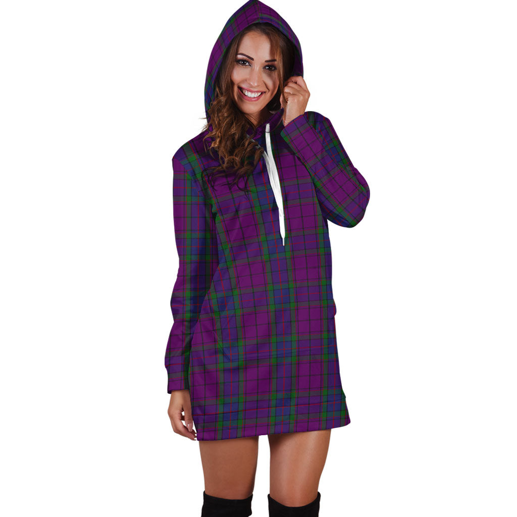 Wardlaw Tartan Hoodie Dress - Tartan Vibes Clothing