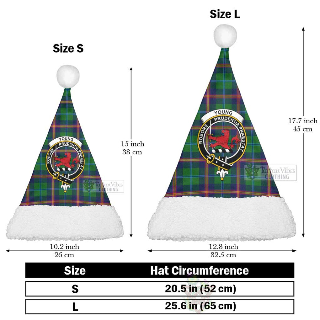 Tartan Vibes Clothing Young Tartan Christmas Santa Hats with Family Crest