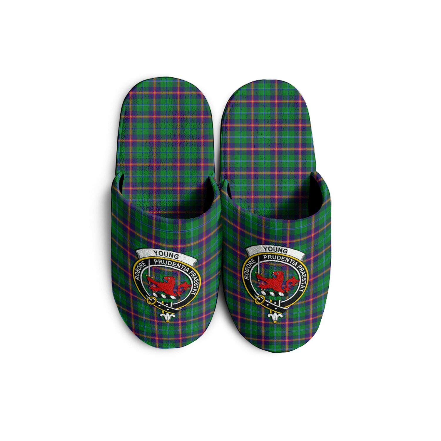 Young Tartan Home Slippers with Family Crest KIDS - Tartan Vibes Clothing